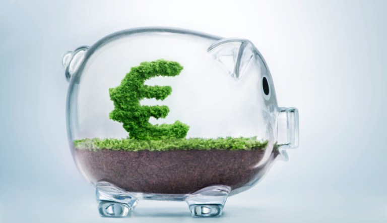 Your Cash Management