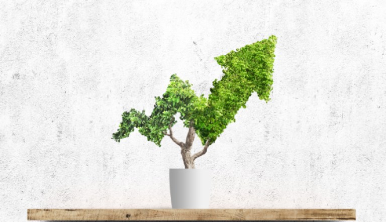 Your Savings & Investments